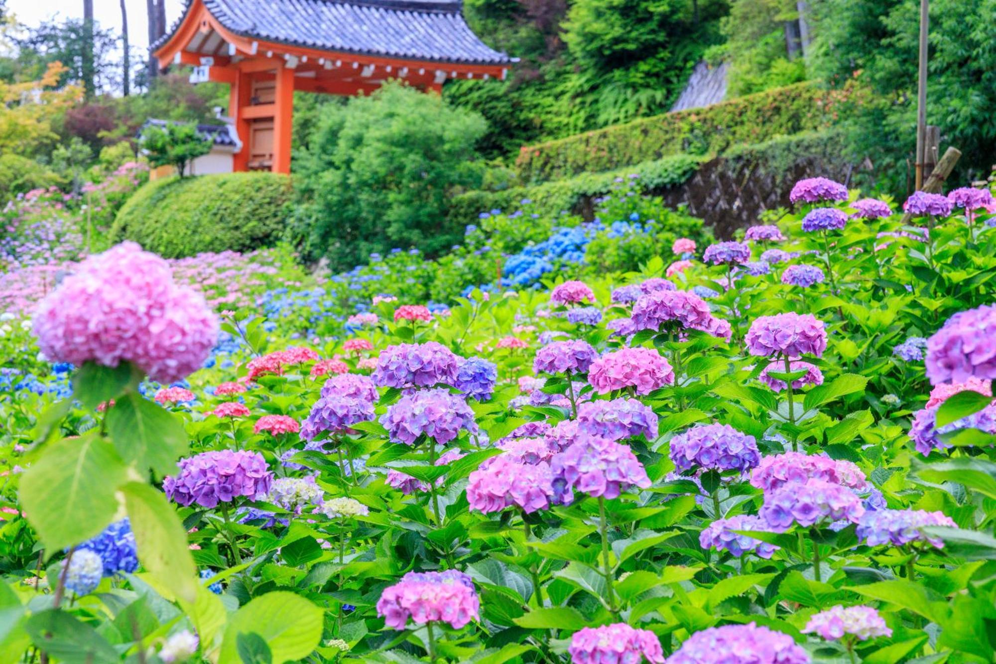 Mimaru Suites Kyoto Central エクステリア 写真